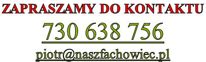 ZAPRASZAMY DO KONTAKTU  730 638 756 piotr@naszfachowiec.pl